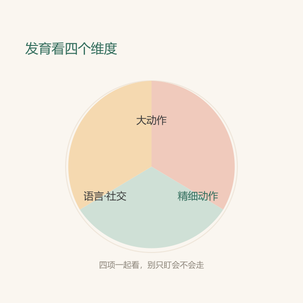 大动作、精细动作、语言、认知社交四个维度扇形示意
