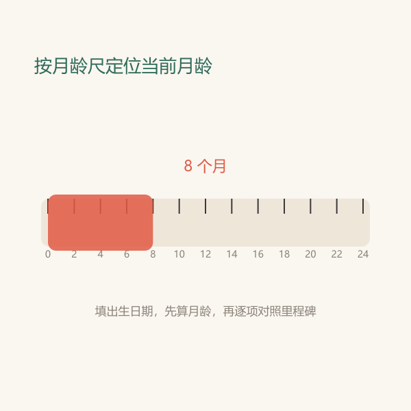 按月龄刻度的月龄尺示意当前宝宝处在哪一格