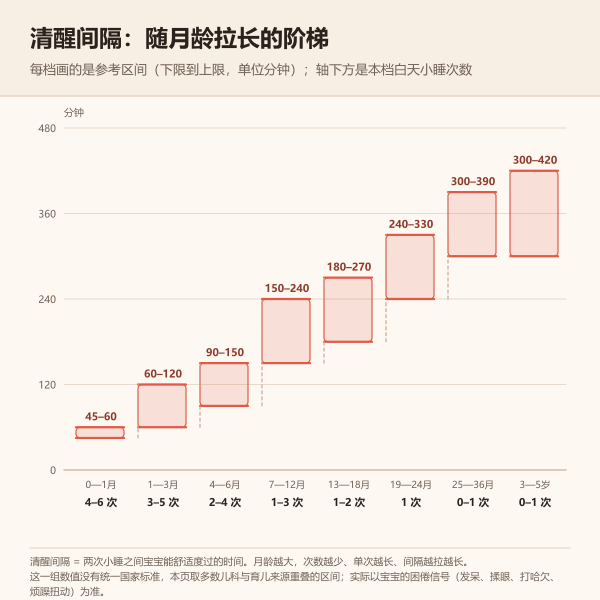 清醒间隔随月龄拉长的阶梯示意图