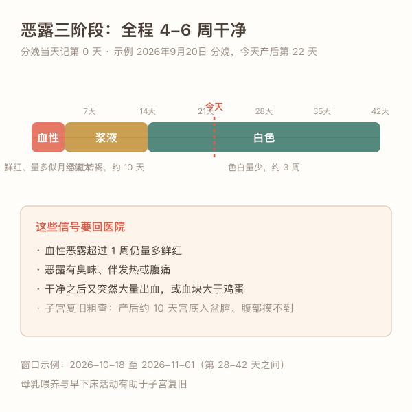 产后恶露三阶段与4到6周干净窗口示意图