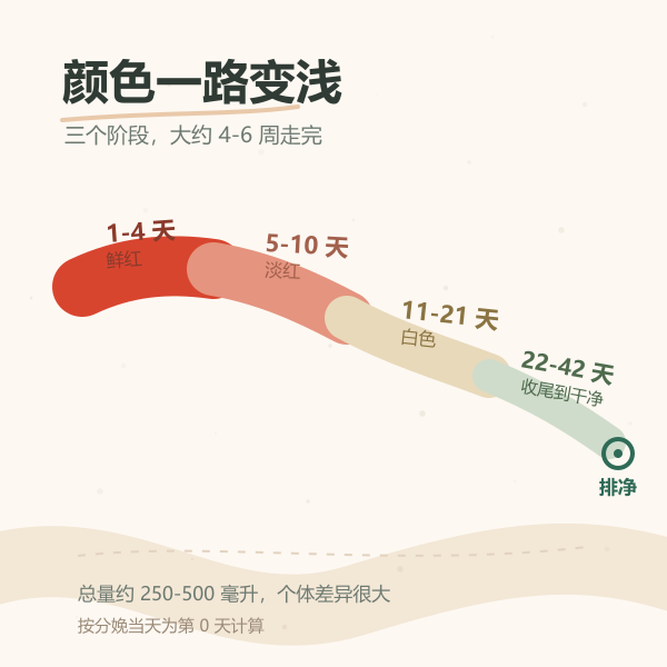 恶露三个阶段的颜色与时间轴示意：血性 1 到 4 天、浆液性 5 到 10 天、白色 11 到 21 天、4 到 6 周收尾