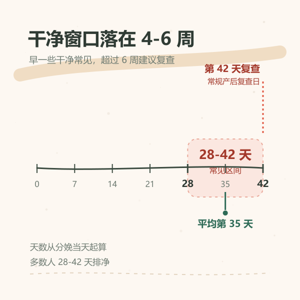 恶露干净窗口示意：产后 28 天到 42 天为常见区间，平均约 35 天，42 天为复查日