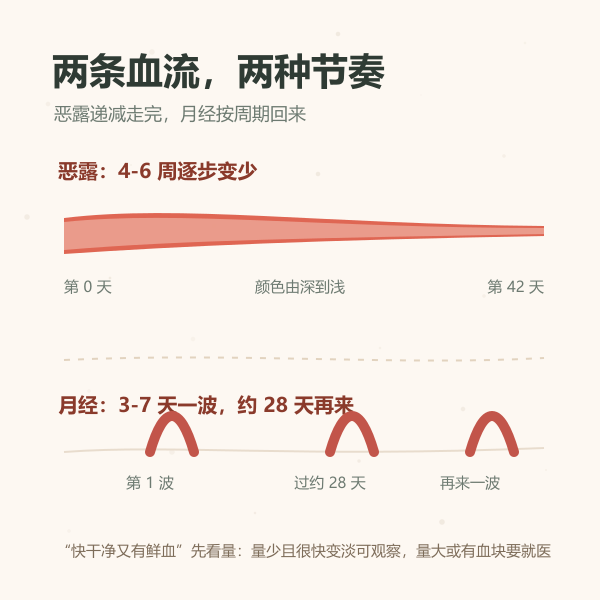 恶露与月经对比示意：恶露 4 到 6 周逐步变淡，月经 3 到 7 天按周期重复