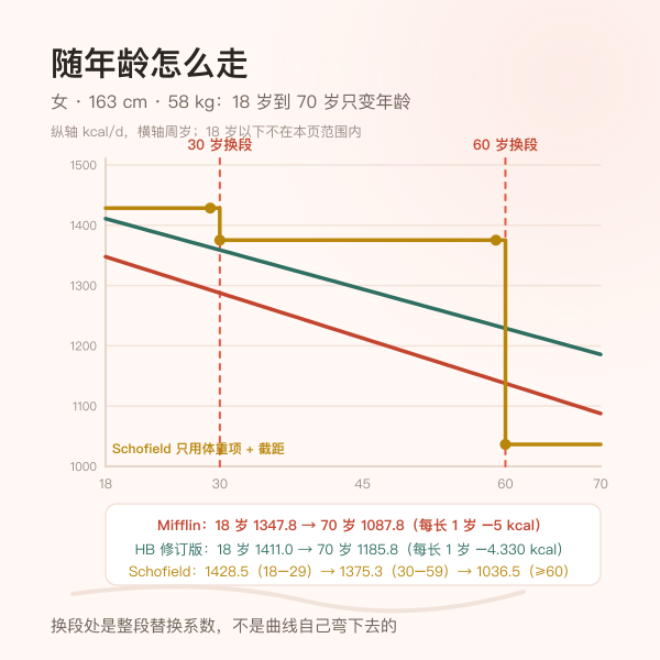 18 到 70 岁基础代谢率随年龄变化的折线与 Schofield 换段竖虚线示意图