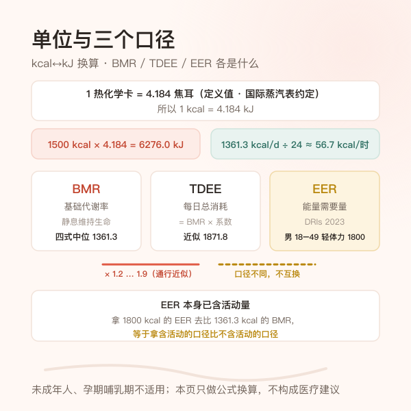 千卡与千焦换算以及基础代谢率、每日总消耗、能量需要量三者关系框图
