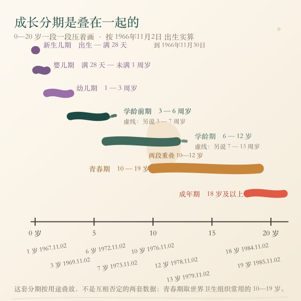 从零岁到二十岁的发育与学龄分期重叠条带：新生儿期、婴儿期、幼儿期、学龄前期、学龄期、青春期与成年期