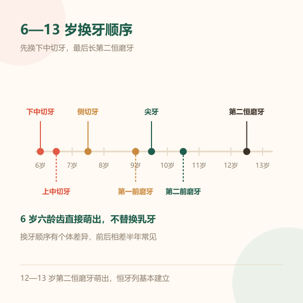 6到13岁换牙时间轴