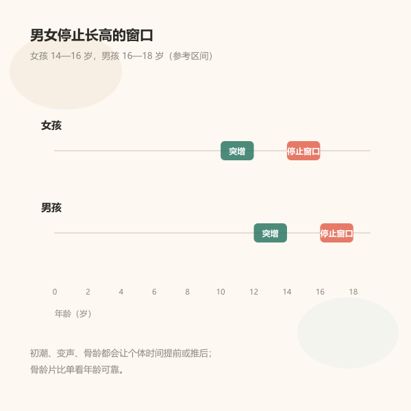 女孩与男孩生长突增、停止长高年龄时间轴