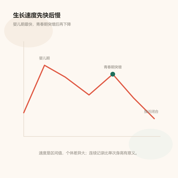 生长速度随年龄先快后慢的曲线示意