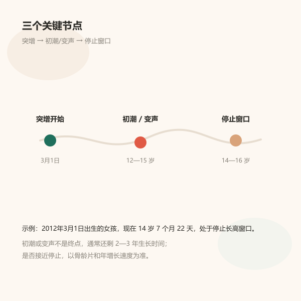 骨龄、月经初潮与变声节点示意