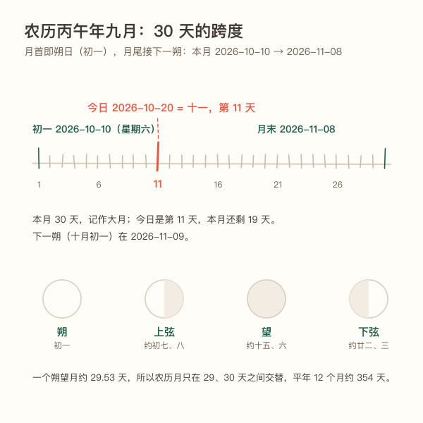 朔望月与月首月尾对照示意图