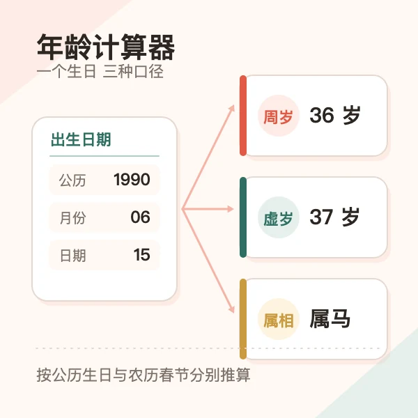 年龄计算器：周岁、虚岁与属相一次算清