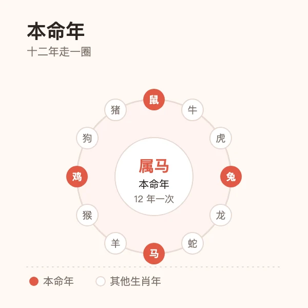 本命年与生肖轮回示意