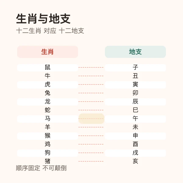 生肖与地支对应关系