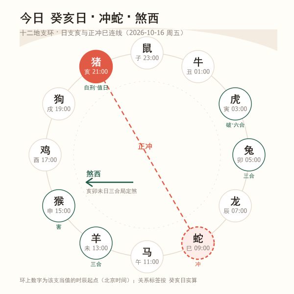 十二地支环形图:今日日支与正冲生肖的对应关系