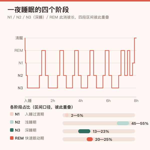 一夜睡眠中 N1、N2、N3 深睡与 REM 四个阶段此消彼长的结构示意图