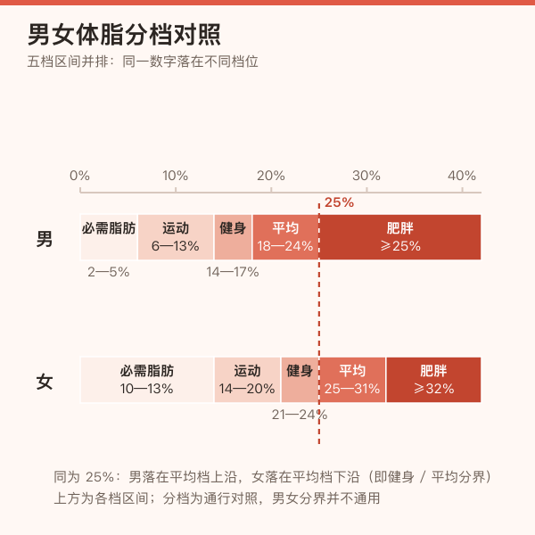 男性与女性各五档体脂率区间的色带示意图