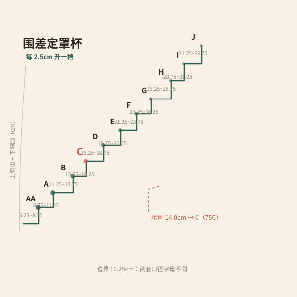 上下胸围差与罩杯阶梯对照图