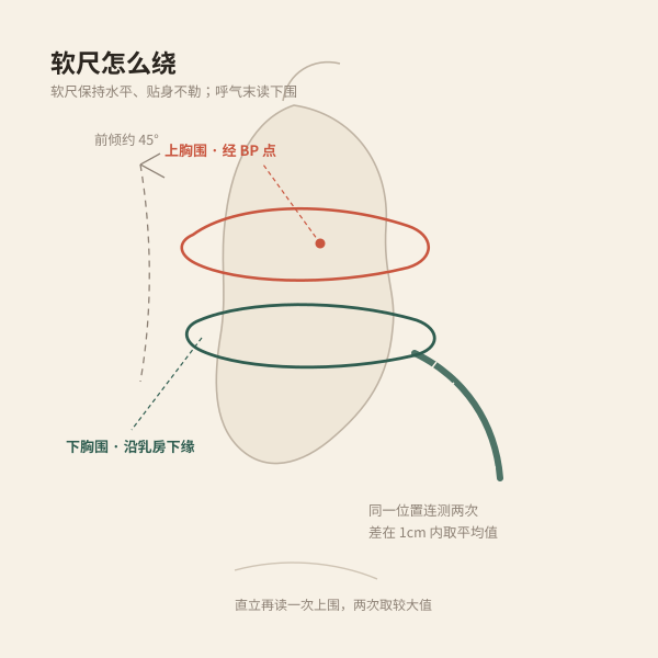 软尺测量上胸围与下胸围位置示意图