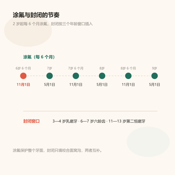 2 岁起每 6 个月涂氟的节奏示意