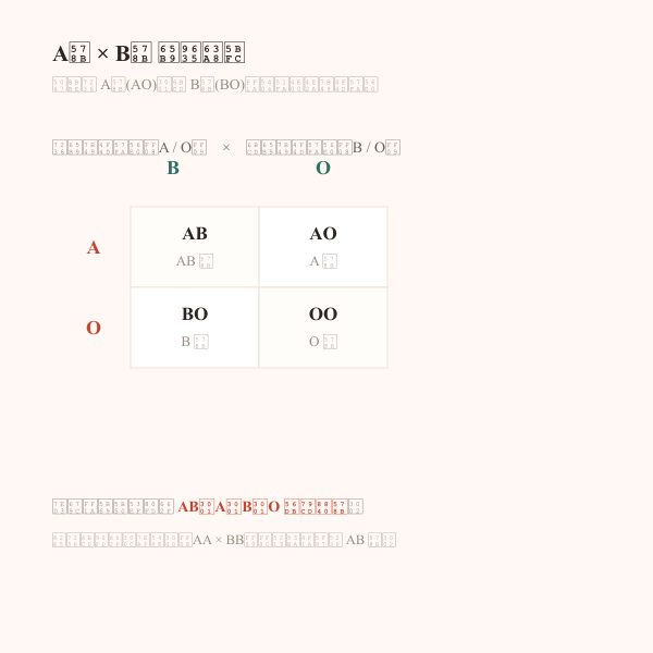 A型与B型父母用方阵法推导孩子血型示意图