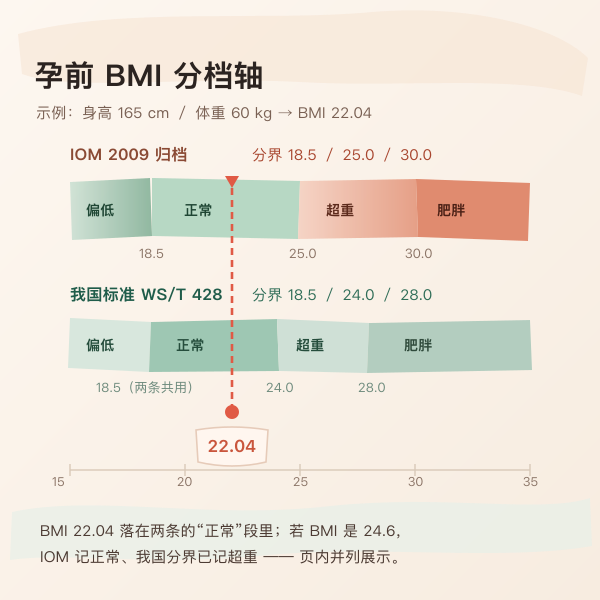 孕前 BMI 双分档轴