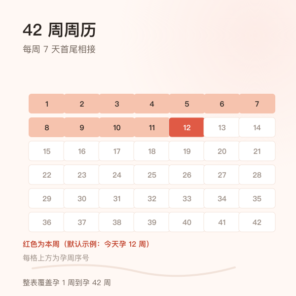 孕 1 到 42 周周历示意