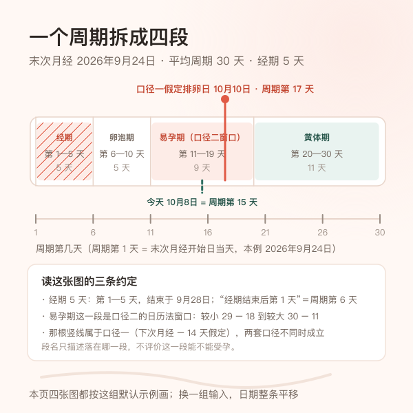 一个月经周期时间轴：经期、卵泡期、排卵日、黄体期与对应的周期第几天